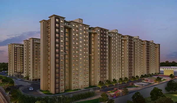 Provident Botanico Project Status