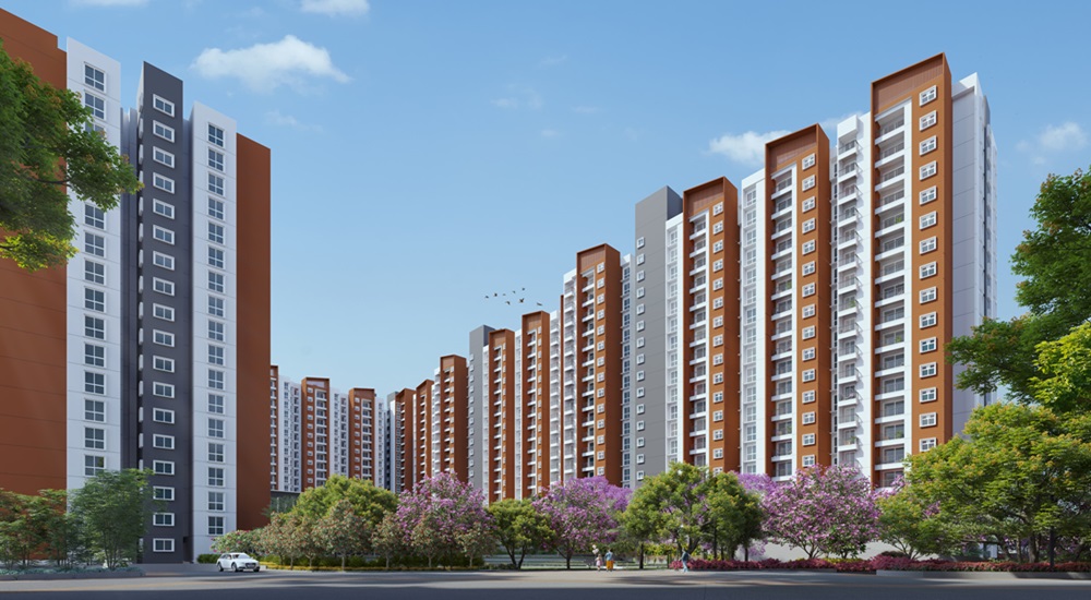 Provident Botanico